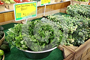 Fresh Vegetables and Farmers Market