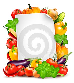 Fresh vegetables and food ingredients and white paper sheet.