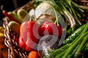 fresh vegetables and fruits, farm products. Organic products