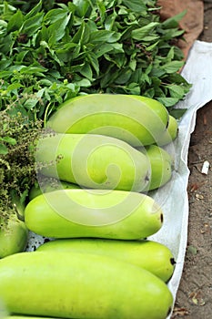 Fresh vegetables - green hatch in the market.