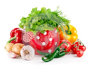 Fresh vegetables with green herbs in watering can
