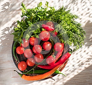 Fresh vegetables and greenery