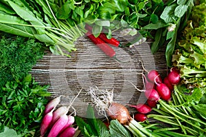 Fresh vegetables and greens. Harvest from the garden. Useful products on a wooden table