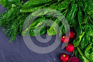 Fresh vegetables and greens radish, spinach, beet on a black background