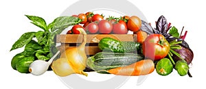Fresh vegetables harvest in basket. Organic food isolated