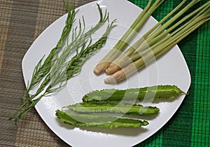 Fresh vegetables and herbs on white plate