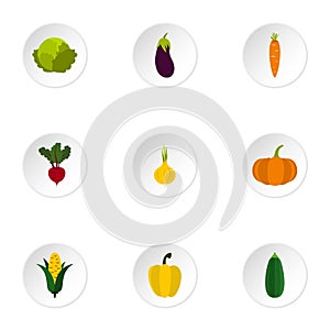 Fresh vegetables icons set, flat style