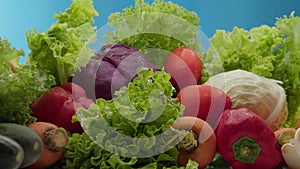 Fresh vegetables just picked from garden bed with water drops, on the blue background, agriculture concept. Farmer's