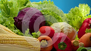 Fresh vegetables just picked from garden bed with water drops, on the blue background, agriculture concept. Farmer's