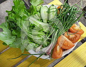 Fresh vegetables - lettuce, green onion, tomatoes and cucumbers on a white plate on a wooden background. The concept of