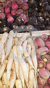 Fresh vegetables natural organic radish in market for sale background