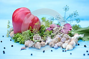 Fresh vegetables on natural wooden blue background. Russian traditional vegetables.