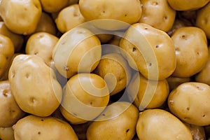 Fresh vegetables, potatoes