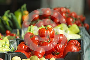 Fresh vegetables at Prague farmers market