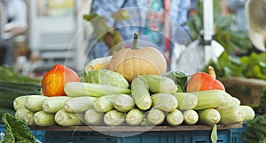 Fresh vegetables prepared for customers at Prague farmers market