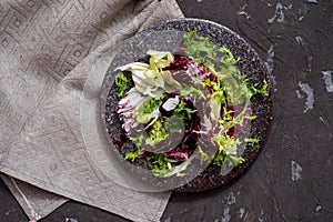 Fresh vegetables - red cabbage, beets, eggplant, peppers, garlic, tomatoes, herbs on a dark background. Raw ingredients. Food