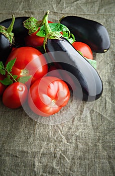 Fresh vegetables: red tomatoes and eggplants, vertical