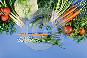 Fresh vegetables for salad on a blue background