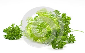 fresh vegetables (salad, lettuce)