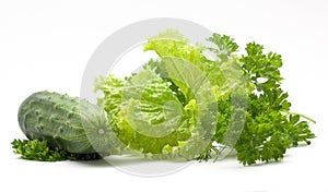 fresh vegetables (salad, lettuce)