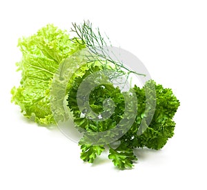 fresh vegetables (salad, lettuce)