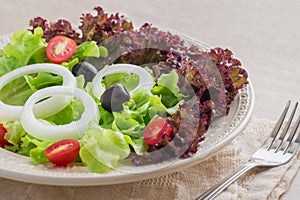 Fresh vegetables salad on plate