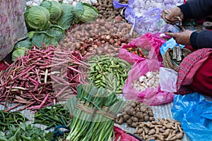 Fresh vegetables photo