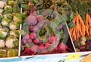 Fresh vegetables sold at farmer`s market