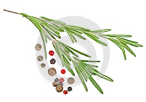 Fresh vegetables spices and Italian herbs - rosemary and peppercorns on white background