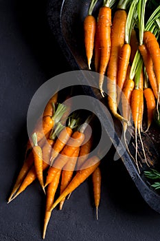 Always fresh vegetables on the table