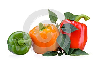 Three sweet red, yellow, green peppers lying on green leaves, isolated on white background