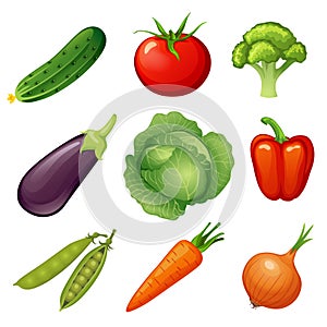 Fresh vegetables. Vegetable icon. Vegan food. Cucumber, tomato, broccoli, eggplant, cabbage, peppers, peas, carrots, onions