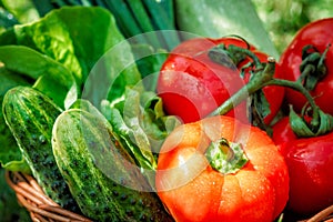 Fresh vegetables in weaved basket