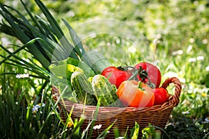 Fresh vegetables in weaved basket