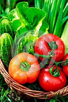 Fresh vegetables in weaved basket