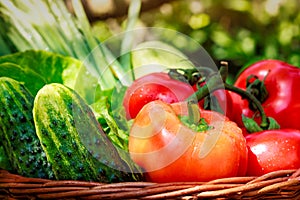 Fresh vegetables in weaved basket