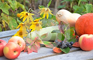 Fresh vegetables on wooden background. bright orange pumpkin, Autumn fruit background. Autumn Thanksgiving seasonal