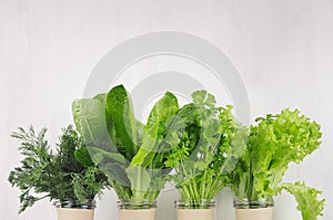 Fresh vegetarian dieting green salads plants in pots on white wood plank, copy space. Healthy lifestyle.