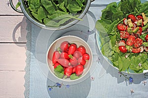 Fresh, vegetarian salad and a bowl of radish