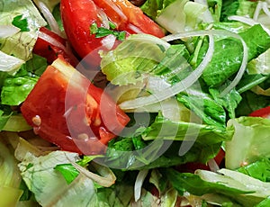 Fresh vegetarian salad. Lettuce green leaves, rough cut red tomato and onions.