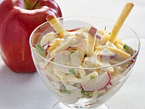 Fresh vegetarian salad with radish and apple