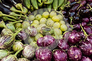 Fresh veggie basket from the Colaba Market farmer`s market: onions, aubergines, scallions, shallots, lady`s fingers photo