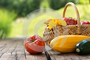 Fresh veggies on wooden background