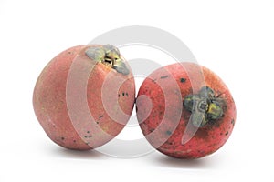 fresh Velvet apple fruit isolate on white background, also known as Diospyros embryopteris, gaab, gab, Ebenaceae