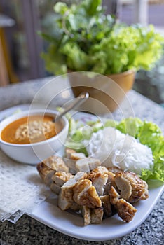 Fresh vietnamese spring rolls on a plate with salad