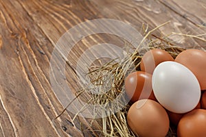 Fresh village chicken eggs on dark wooden background. Easter entourage.