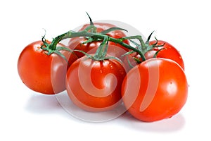 Fresh vine ripened tomatoes