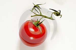 Fresh vine tomato on white background