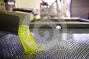 Fresh virgin olive oil pouring into tank at a cold-press factory after the olive harvesting, Crete, Greece.