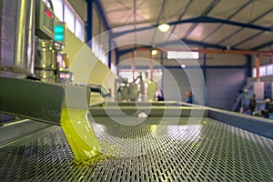 Fresh virgin olive oil production at a cold-press factory after the olive harvesting.